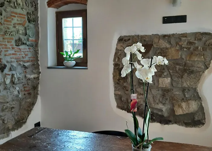 Il Vecchio Mandorlo B&B