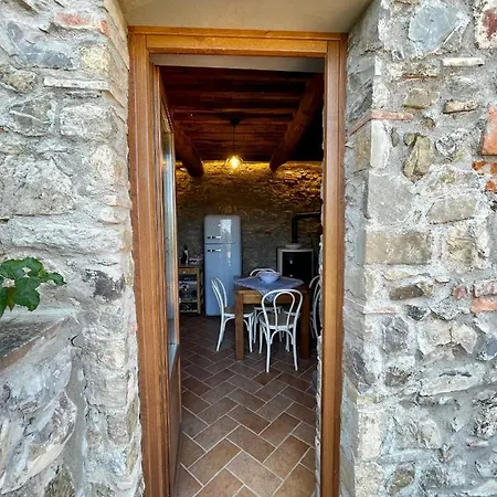 Il Vecchio Mandorlo