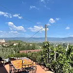 Bed & Breakfast Il Vecchio Mandorlo 3*