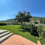 Il Vecchio Mandorlo Bed & Breakfast