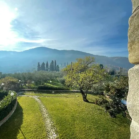 Il Vecchio Mandorlo * Quarrata