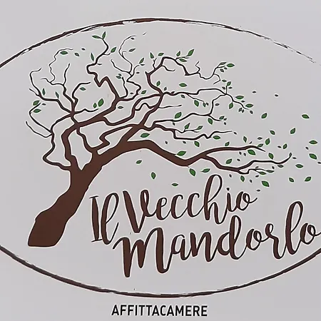 Bed & Breakfast Il Vecchio Mandorlo Quarrata